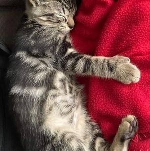 Meet your Posher, Alex